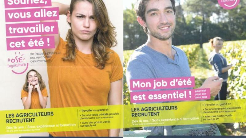 OSE L'AGRICULTURE - JOBS D'ÉTÉ - EMPLOIS SAISONNIERS - CULTIVONS L'EMPLOI AGRICOLE