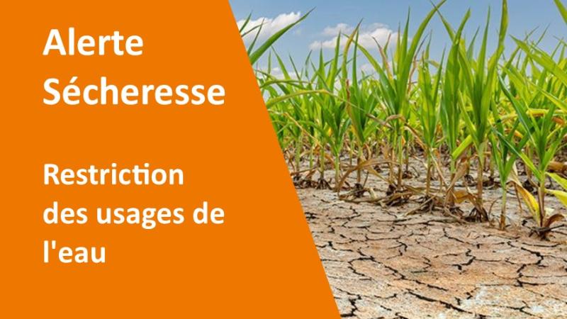 ARRÊTÉ PRÉFECTORAL SÈCHERESSE DDT-SEEB-PPE-ÉTIAGE-49 N°2023-06 DU 8 AOUT