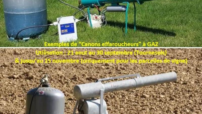 effaroucheur