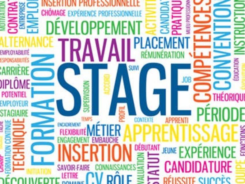 Visuel stage pour étudiants