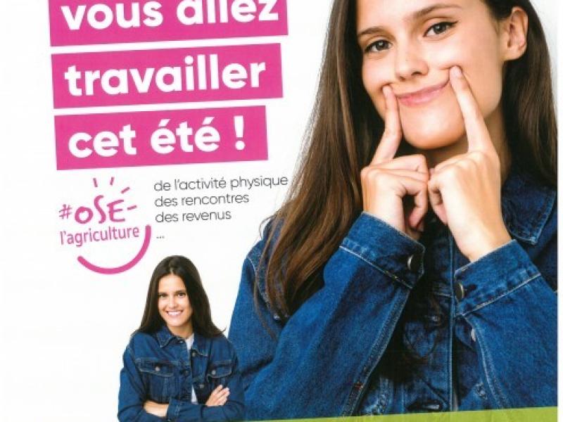 Flyer job d'été
