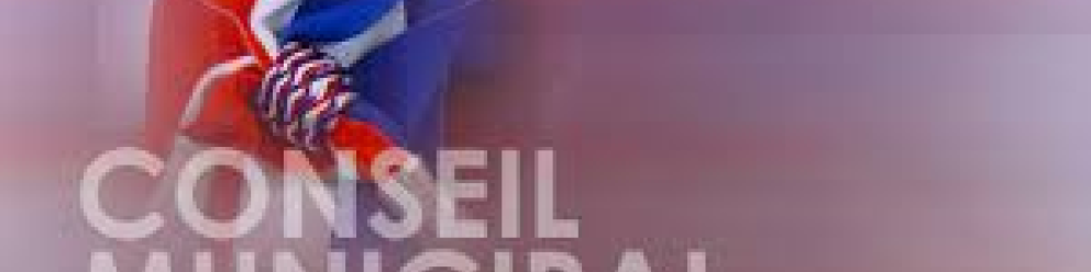 Réunion de Conseil Municipal